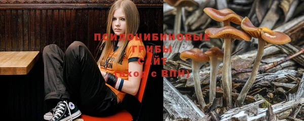 марки nbome Богородск